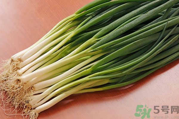 夏天上火能吃蔥嗎？夏天吃蔥會不會上火？