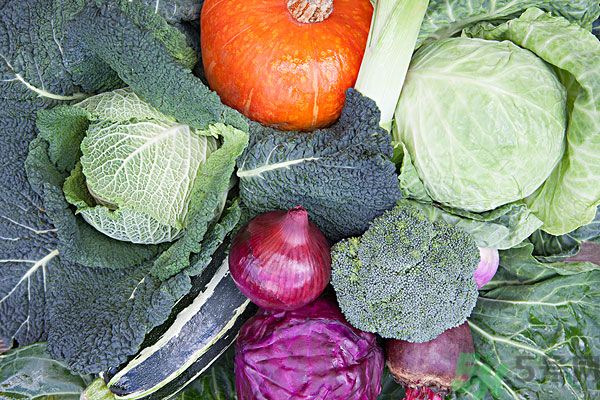 夏天吃什么蔬菜對(duì)身體好？什么蔬菜適合夏天吃？