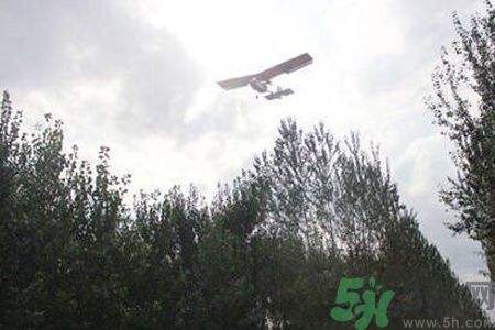 為什么15-25號不要曬被子？什么是美國白蛾？