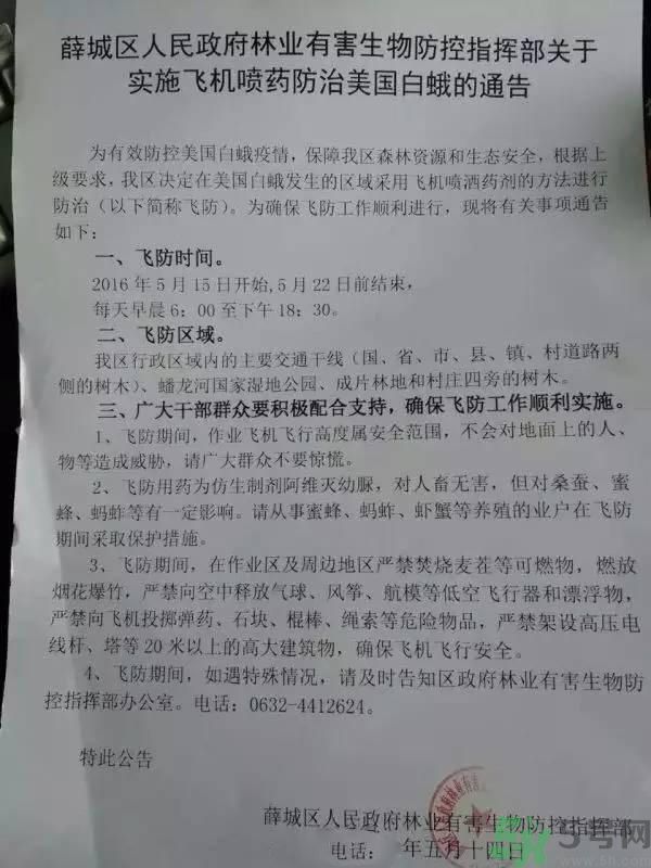 為什么15-25號不要曬被子？什么是美國白蛾？