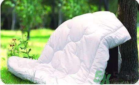 15-25號不要曬被子是怎么回事？白蛾是什么害蟲？