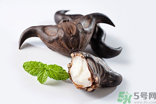 菱角是涼性的嗎？菱角是涼性還是熱性的？