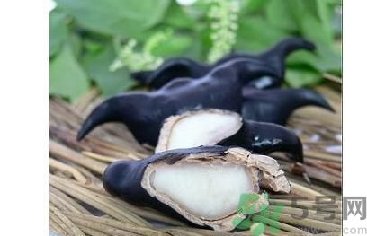 菱角怎么剝完整？菱角剝不開怎么辦？