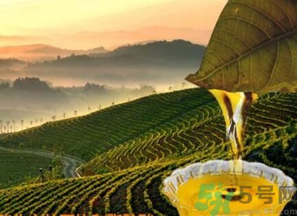 茶籽油可以天天吃嗎？可以每天用茶籽油炒菜嗎？