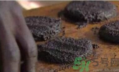 蚊子可以吃嗎？吃蚊子會怎么樣？