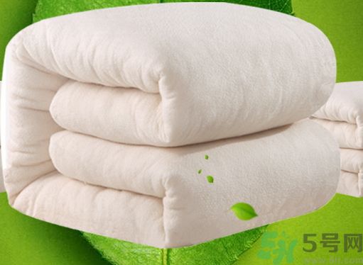 蠶絲被和棉花被哪個好?蠶絲被和棉花被的區(qū)別