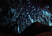 新西蘭的螢火蟲洞在哪里？盤點(diǎn)新西蘭的美食