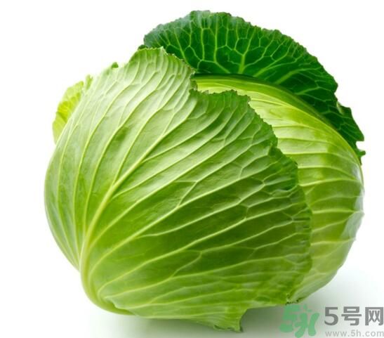 包菜是涼性的嗎？包菜是涼性還是熱性的？