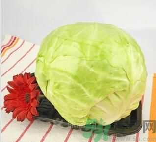 包菜可以生吃嗎？包菜可以涼拌嗎？