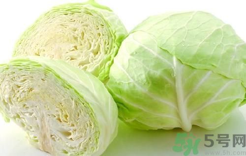 吃包菜可以減肥嗎？吃包菜有減肥作用嗎？