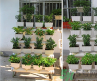 陽(yáng)臺(tái)怎么種蔬菜？陽(yáng)臺(tái)適合種什么蔬菜？