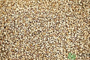 吃辣椒可以去除濕氣嗎？辣椒能去濕氣嗎？