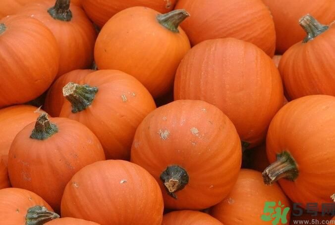 南瓜和羊肉能一起吃嗎？南瓜可以和羊肉一起吃嗎？