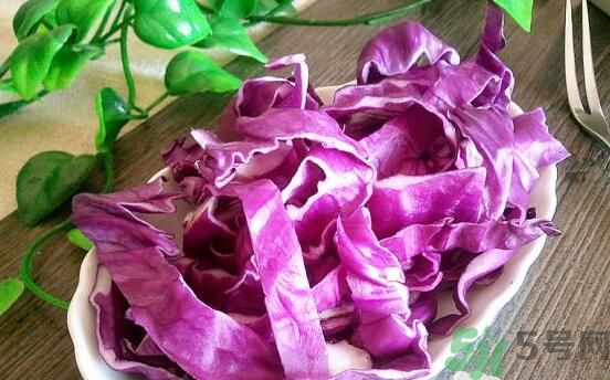 紫甘藍(lán)和包菜有什么區(qū)別？紫甘藍(lán)是包菜嗎？
