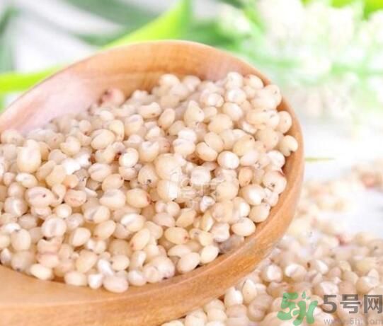 高粱米是堿性嗎？高粱米是堿性還是酸性？