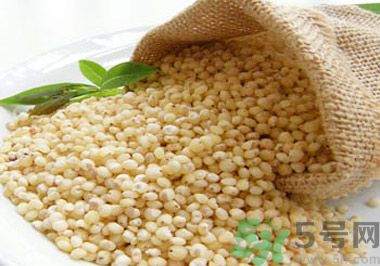 高粱米可以包粽子嗎？高粱米可以用來包粽子嗎？