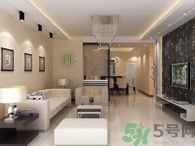 家中有蟑螂要怎么辦？怎么消滅家中的蟑螂？