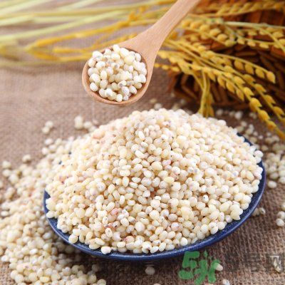 高粱米能做飯嗎？高粱米做飯好嗎？