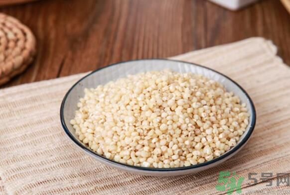 孕婦可以吃高粱米嗎？