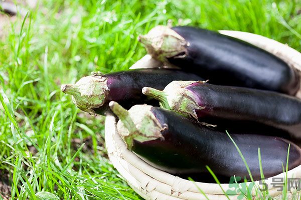 茄子和蝦能一起吃嗎？茄子和蝦可以一起吃嗎？