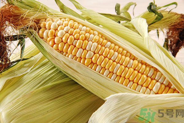 南瓜和玉米可以一起吃嗎？南瓜和玉米一起吃好嗎？