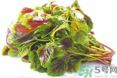 孕婦可以吃漢菜嗎？懷孕可以吃漢菜嗎？