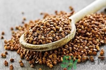 蕎麥有什么功效？蕎麥的功效是什么？