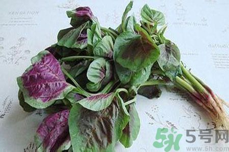 寶寶可以吃漢菜嗎？寶寶吃漢菜好嗎？