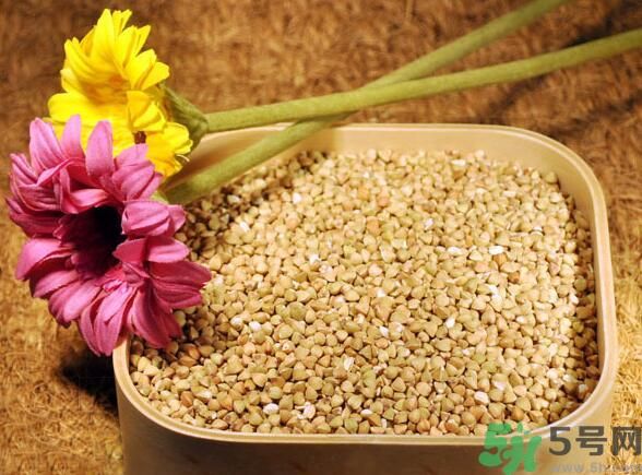 蕎麥是發(fā)物嗎？蕎麥是不是發(fā)物？