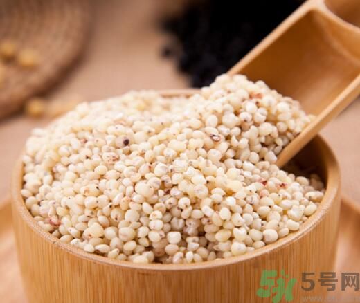 蕎麥能和高粱一起煮粥嗎？蕎麥和高粱一起煮粥好嗎？