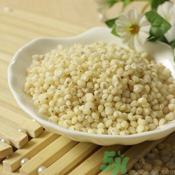 蕎麥能和高粱一起煮粥嗎？蕎麥和高粱一起煮粥好嗎？