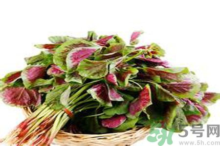 胃不好可以吃莧菜嗎？胃不好吃莧菜好嗎？