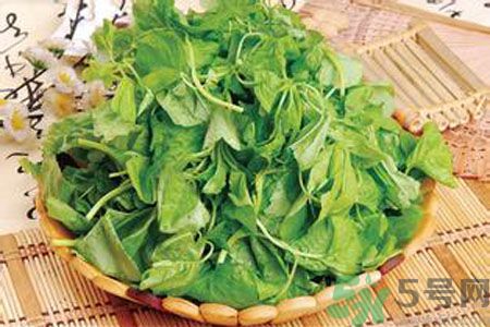 胃不好可以吃莧菜嗎？胃不好吃莧菜好嗎？