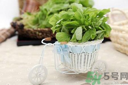 月經(jīng)期間可以吃漢菜嗎？來月經(jīng)可以吃漢菜嗎？