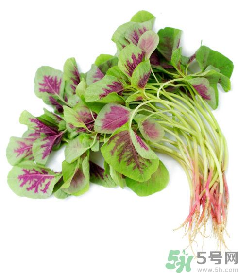 吃莧菜會皮膚過敏嗎？吃莧菜皮膚過敏怎么辦？