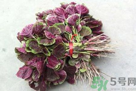 衣服上染上了莧菜汁怎么辦？衣服上的莧菜汁怎么洗掉？