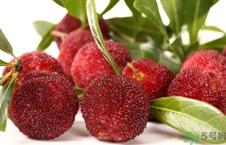 吃楊梅能喝茶嗎？吃楊梅的時(shí)候可以喝茶嗎？