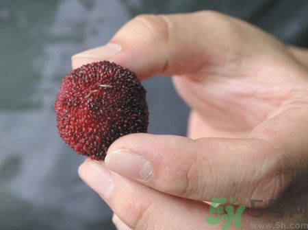 楊梅里面的蟲(chóng)子能吃嗎？楊梅里面的蟲(chóng)子吃了會(huì)怎么樣？