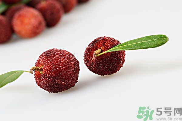 楊梅里面的蟲子是什么是蛆嗎？楊梅里的蟲子有害嗎？