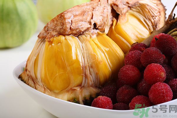 楊梅里面的蟲子是什么是蛆嗎？楊梅里的蟲子有害嗎？