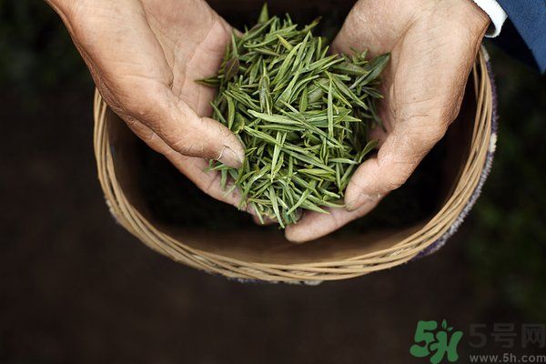 吃魚的時(shí)候能喝茶嗎？吃魚可以喝茶嗎？