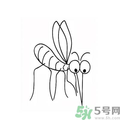 夏天家中有蒼蠅怎么辦？夏天如何滅蒼蠅？