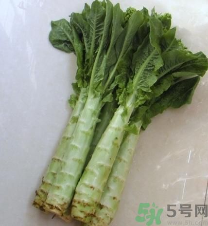 筍子是不是發(fā)物？筍子是發(fā)物嗎？