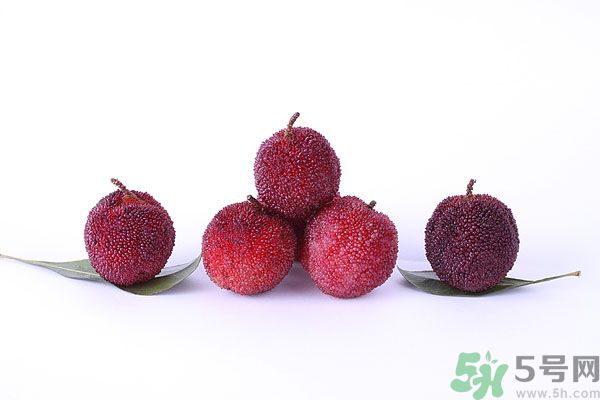 楊梅里面有小蟲怎么洗？楊梅里的蟲子怎么弄出來？