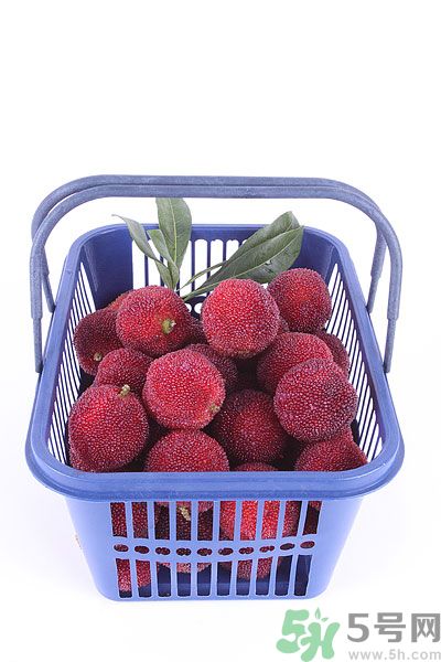 楊梅里面有小蟲怎么洗？楊梅里的蟲子怎么弄出來？