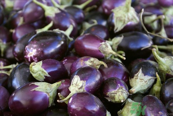 茄子里面有黑點(diǎn)能吃嗎？茄子里面黑了能吃嗎？