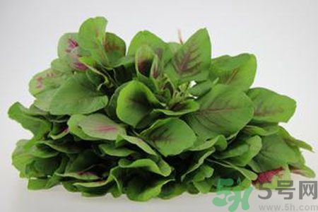 莧菜可以生吃嗎？莧菜生吃了會(huì)怎樣？