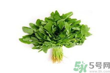 莧菜可以生吃嗎？莧菜生吃了會怎樣？