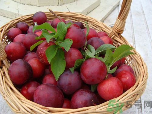 李子紅色甜還是黑色甜？李子黑色的比較甜嗎？