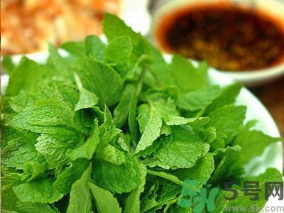 薄荷可以炒菜吃嗎？薄荷可以用來(lái)炒菜嗎？